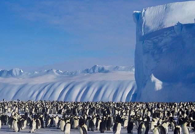 澳大利亚将迎战南极洲足球比赛