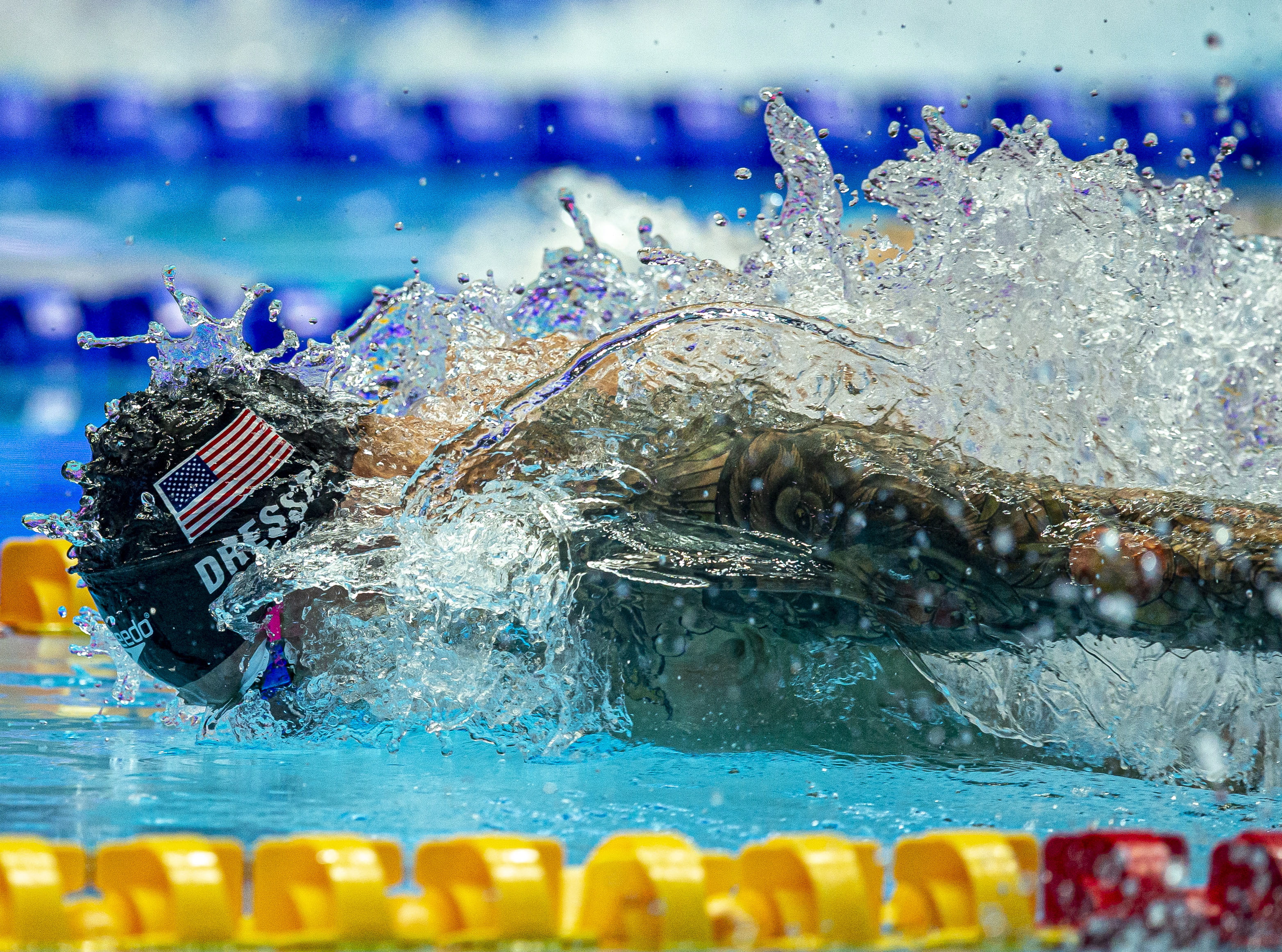 开云体育APP下载-关于荷兰游泳选手集体破纪录，实力超群的信息