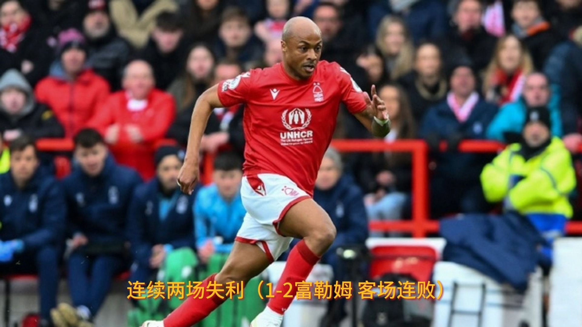 包含诺维奇主场击败纽卡斯尔，英超保级前景一片光明的词条