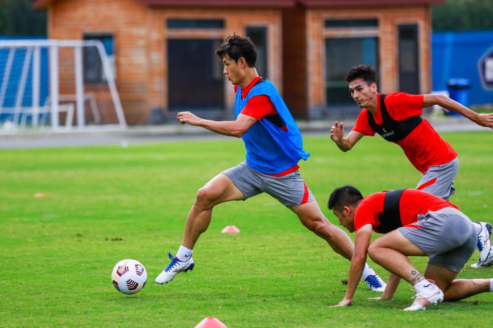 开云体育官网-教练团队带领队员努力备战，力争夺冠的简单介绍
