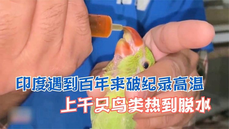 英格兰羽毛球队翻盘印度羽毛球队,戴资颖打破历史纪录的简单介绍 英格兰羽毛球队翻盘印度羽毛球队,戴资颖打破历史纪录的简单介绍