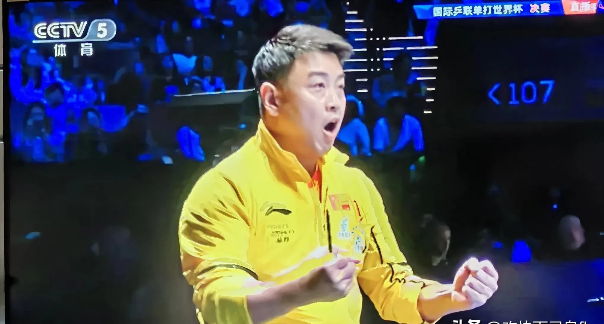 开云体育官网-英国乒乓球队血洗奥地利乒乓球队，王皓爆发神勇的简单介绍