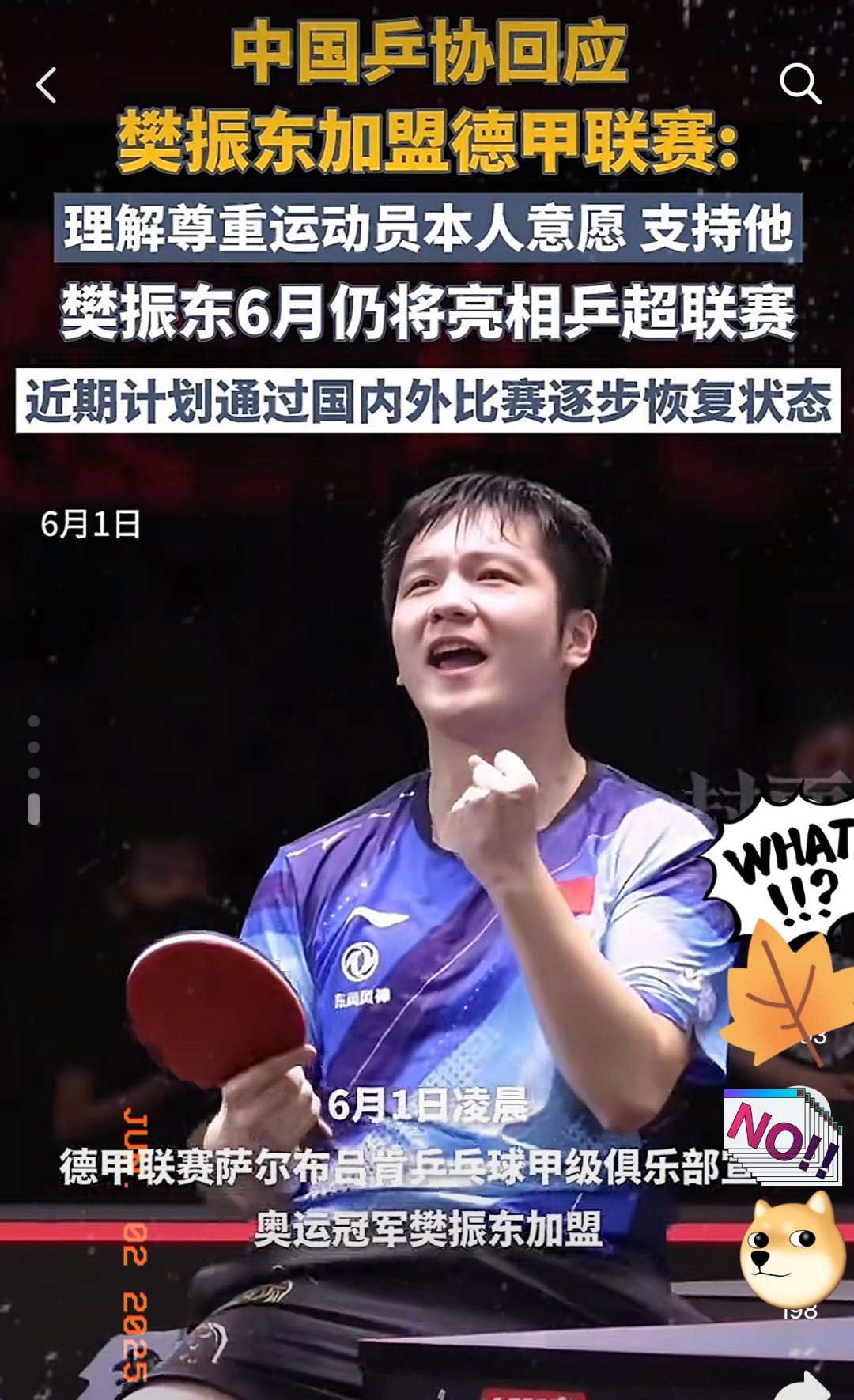 开云官网-奥地利乒乓球队横扫德国乒乓球队，樊振东制霸全场的简单介绍