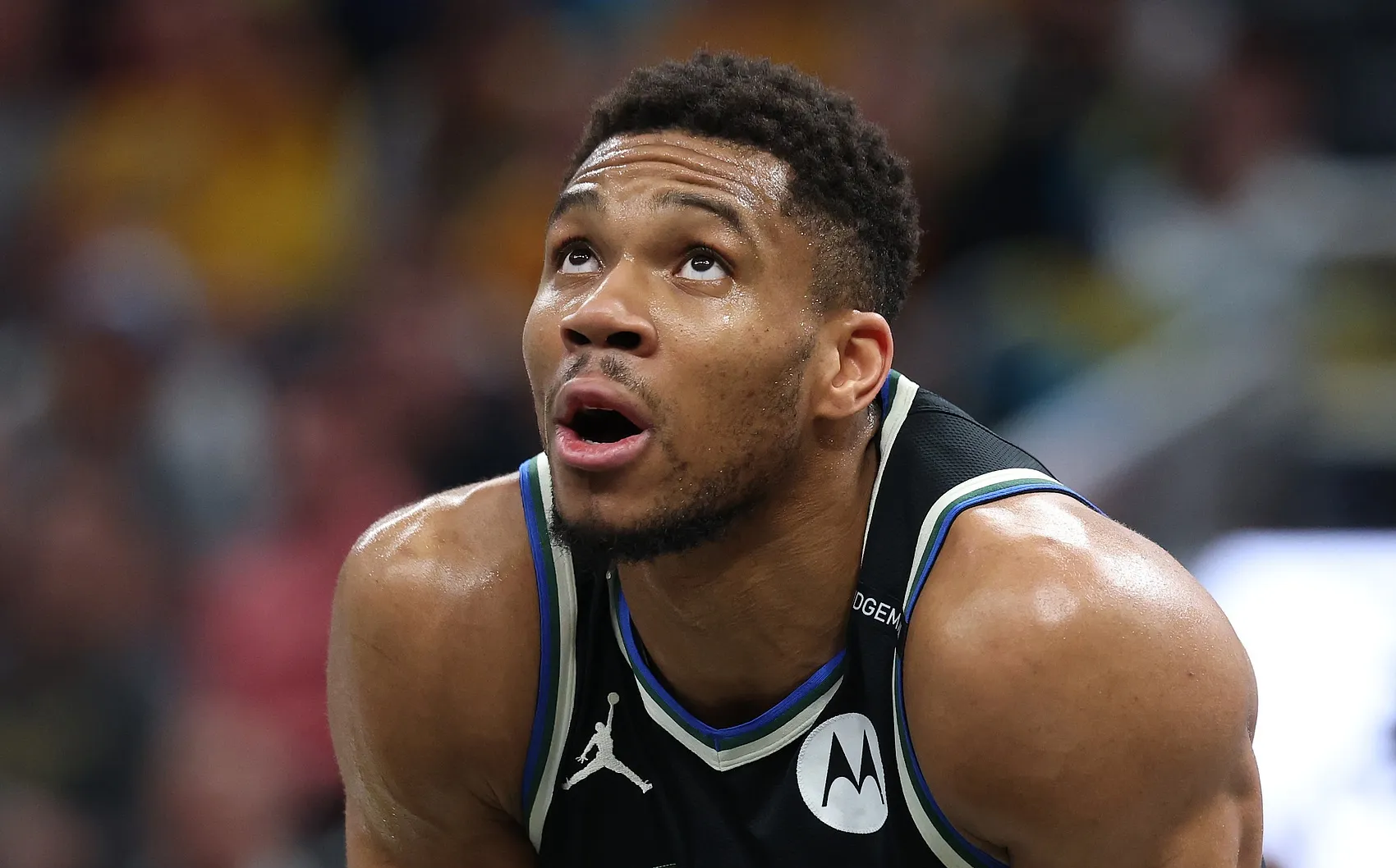 开云体育入口-包含爵士险胜鹈鹕，字母哥爆发神勇的词条